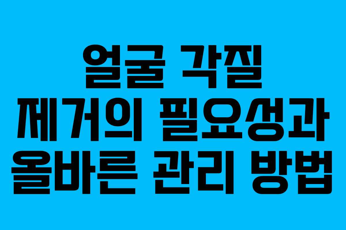 얼굴 각질 제거의 필요성과 올바른 관리 방법 얼굴 각질 제거의 필요성과 올바른 관리 방법