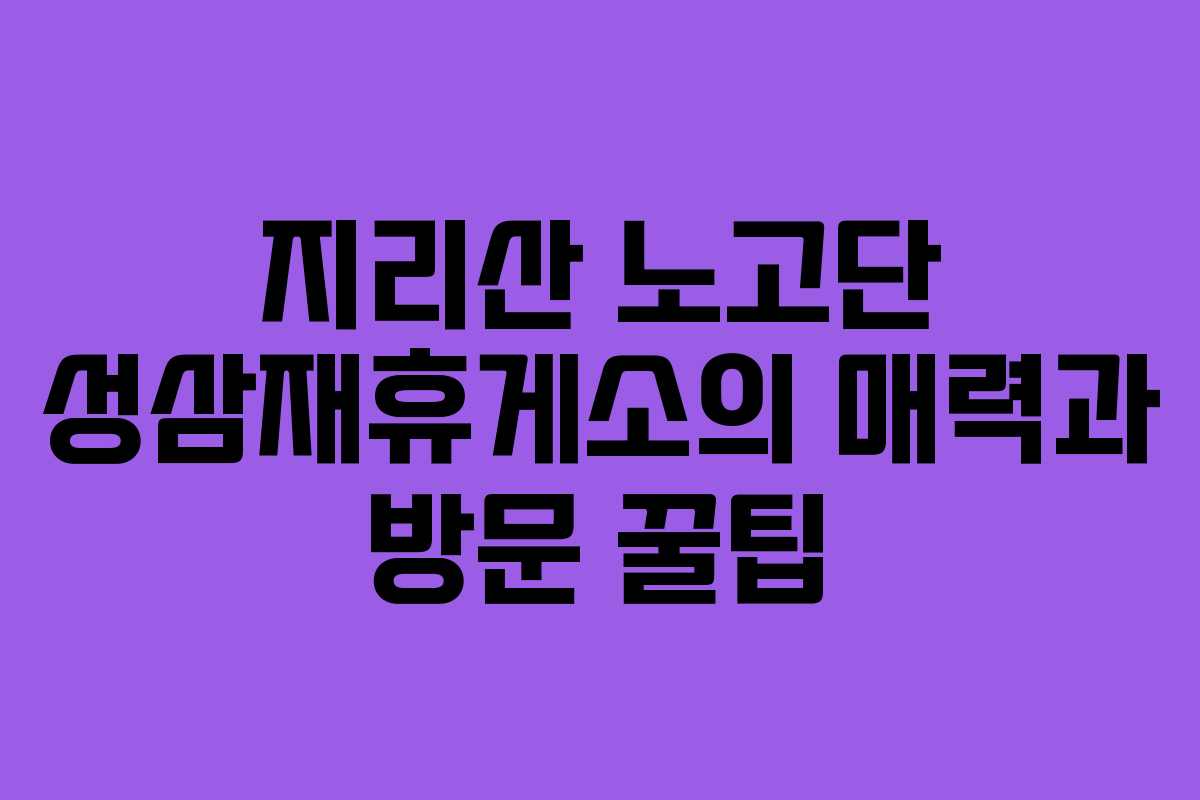 지리산 노고단 성삼재휴게소의 매력과 방문 꿀팁