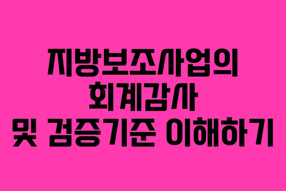 지방보조사업의 회계감사 및 검증기준 이해하기