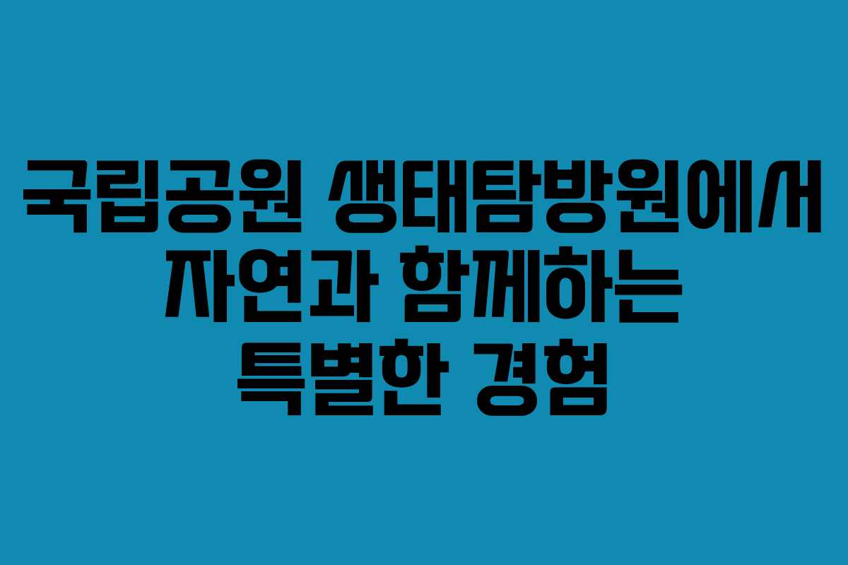 국립공원 생태탐방원에서 자연과 함께하는 특별한 경험 국립공원 생태탐방원에서 자연과 함께하는 특별한 경험