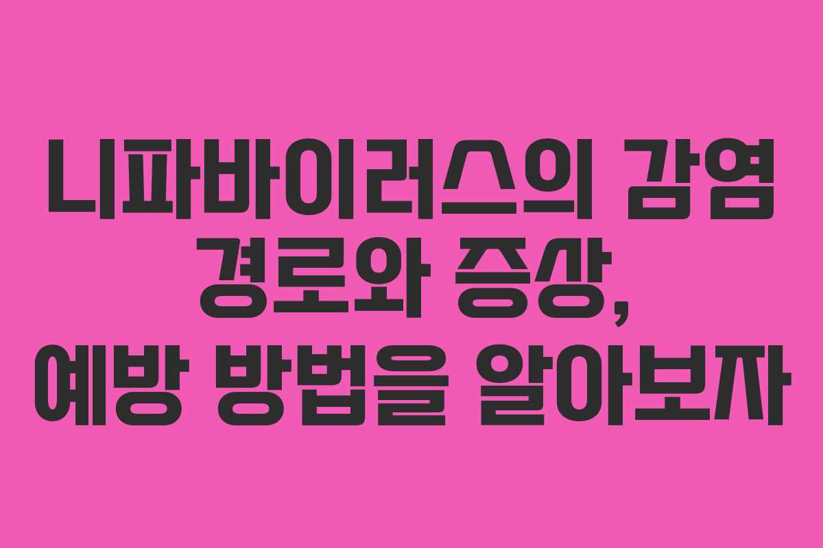 니파바이러스의 감염 경로와 증상, 예방 방법을 알아보자