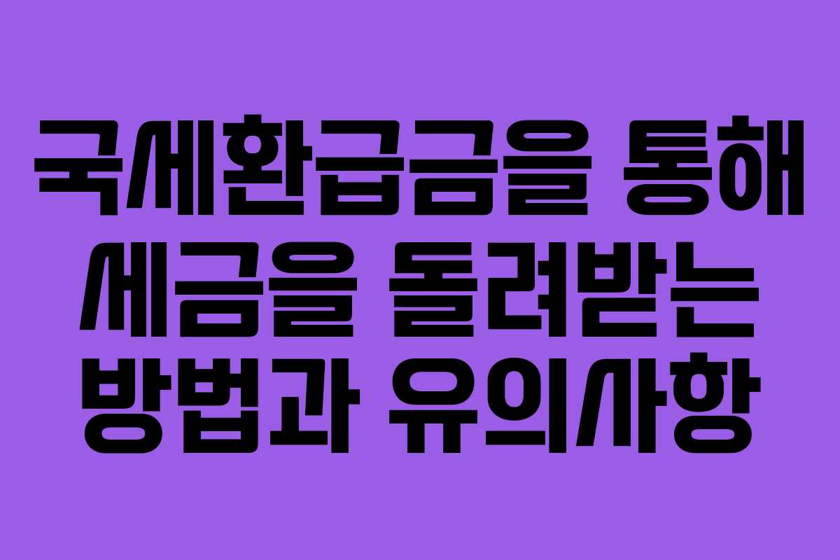 국세환급금을 통해 세금을 돌려받는 방법과 유의사항 국세환급금을 통해 세금을 돌려받는 방법과 유의사항