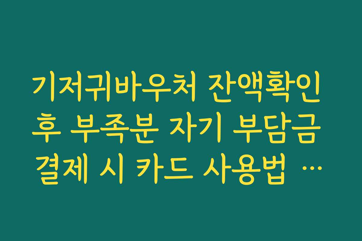 기저귀바우처 잔액확인 후 부족분 자기 부담금 결제 시 카드 사용법 정리 기저귀바우처 잔액확인 후 부족분 자기 부담금 결제 시 카드 사용법 정리