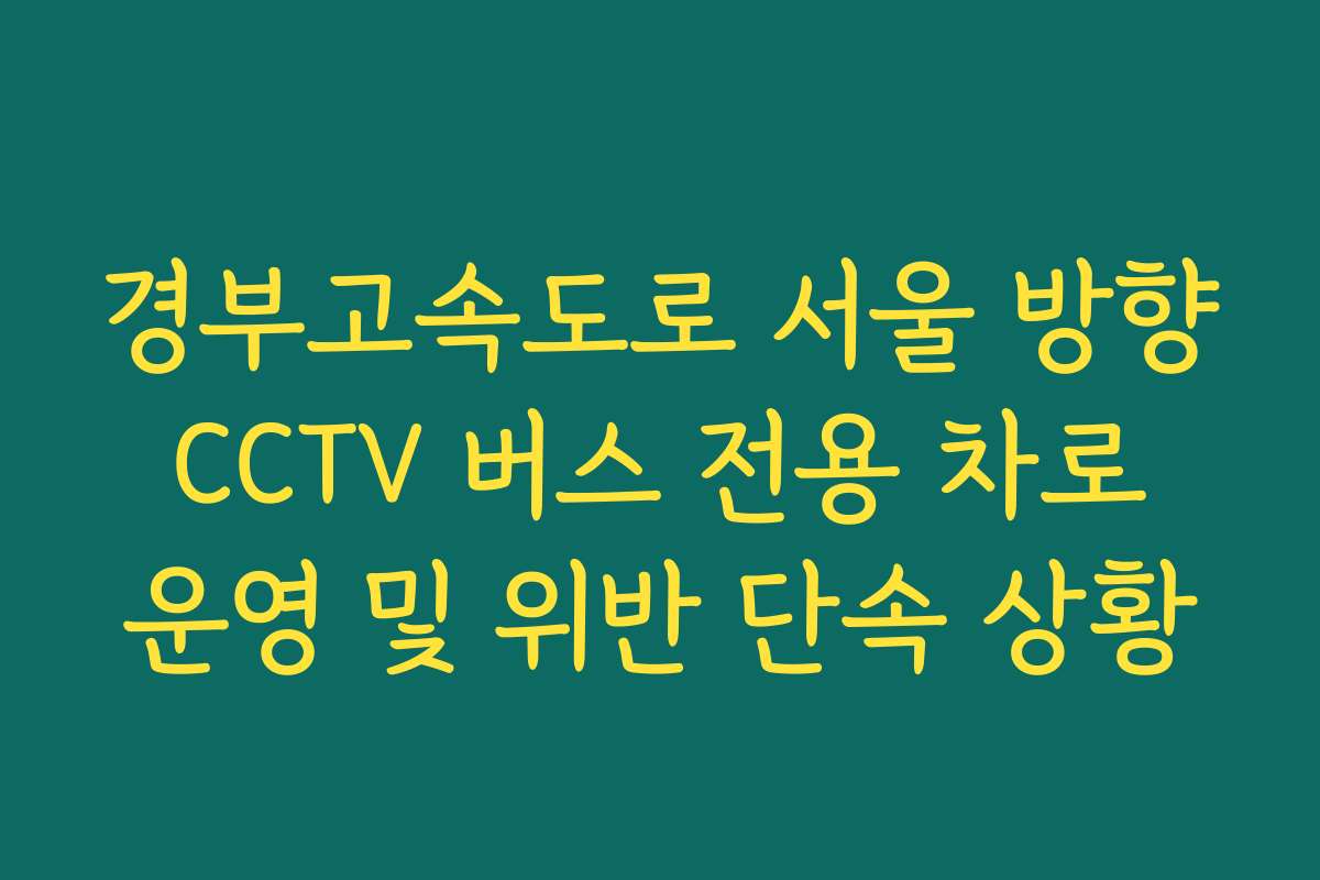 경부고속도로 서울 방향 CCTV 버스 전용 차로 운영 및 위반 단속 상황 경부고속도로 서울 방향 CCTV 버스 전용 차로 운영 및 위반 단속 상황