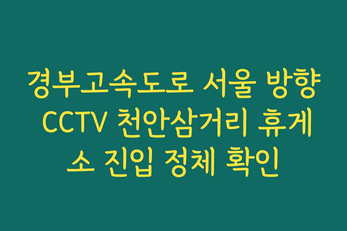 경부고속도로 서울 방향 CCTV 천안삼거리 휴게소 진입 정체 확인