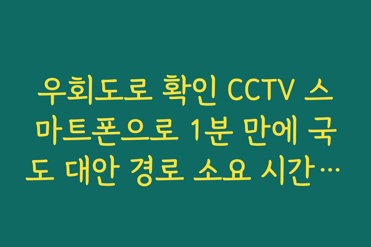 우회도로 확인 CCTV 스마트폰으로 1분 만에 국도 대안 경로 소요 시간 대조 우회도로 확인 CCTV 스마트폰으로 1분 만에 국도 대안 경로 소요 시간 대조