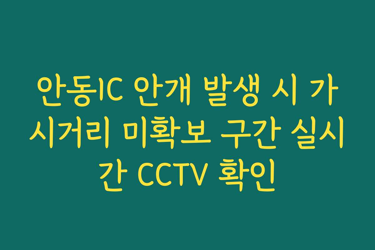 안동IC 안개 발생 시 가시거리 미확보 구간 실시간 CCTV 확인