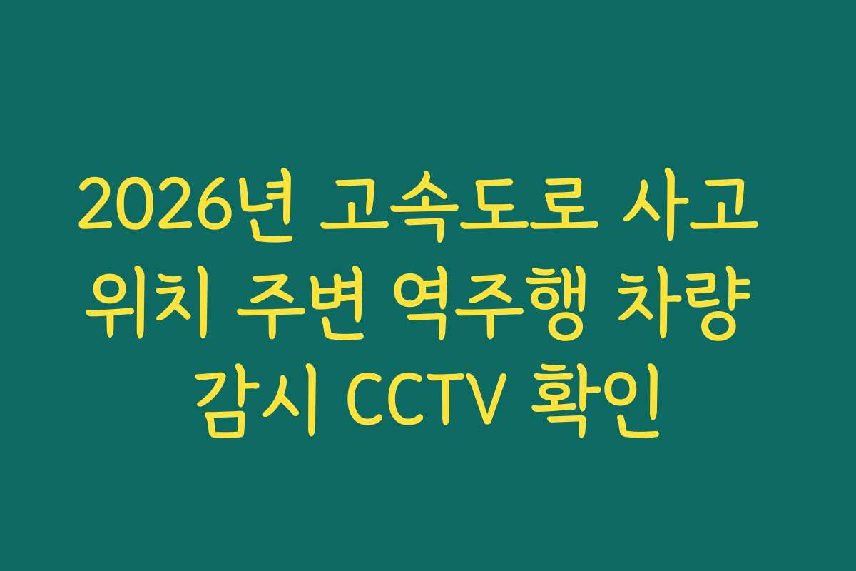 2026년 고속도로 사고 위치 주변 역주행 차량 감시 CCTV 확인