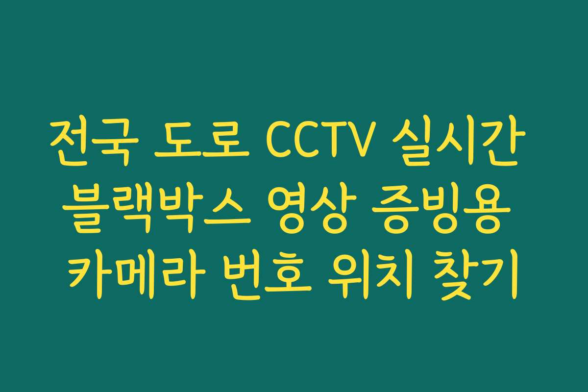 전국 도로 CCTV 실시간 블랙박스 영상 증빙용 카메라 번호 위치 찾기