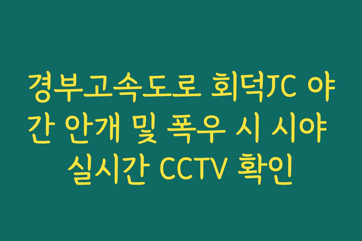 경부고속도로 회덕JC 야간 안개 및 폭우 시 시야 실시간 CCTV 확인