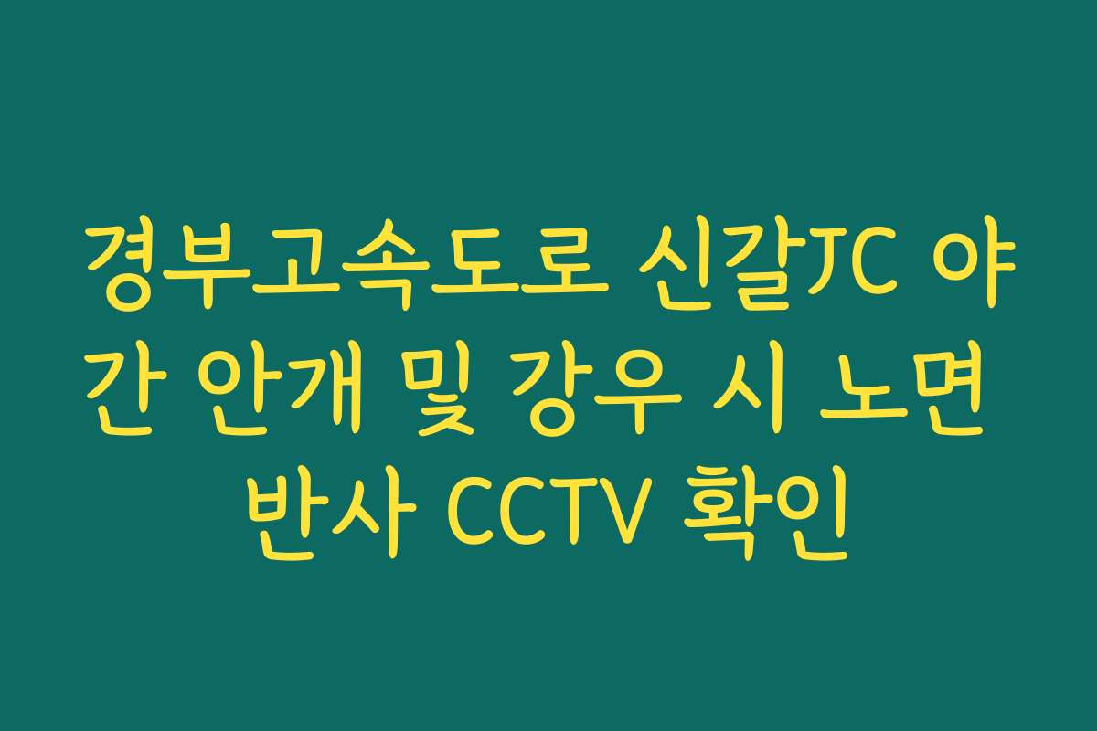 경부고속도로 신갈JC 야간 안개 및 강우 시 노면 반사 CCTV 확인
