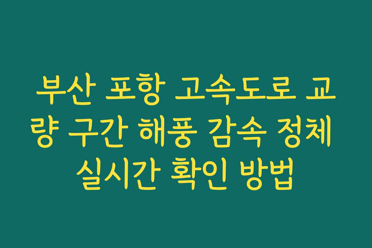 부산 포항 고속도로 교량 구간 해풍 감속 정체 실시간 확인 방법