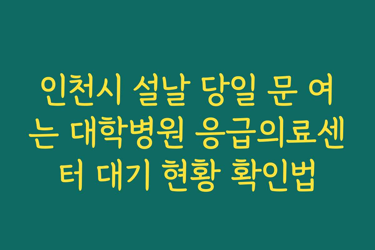 인천시 설날 당일 문 여는 대학병원 응급의료센터 대기 현황 확인법