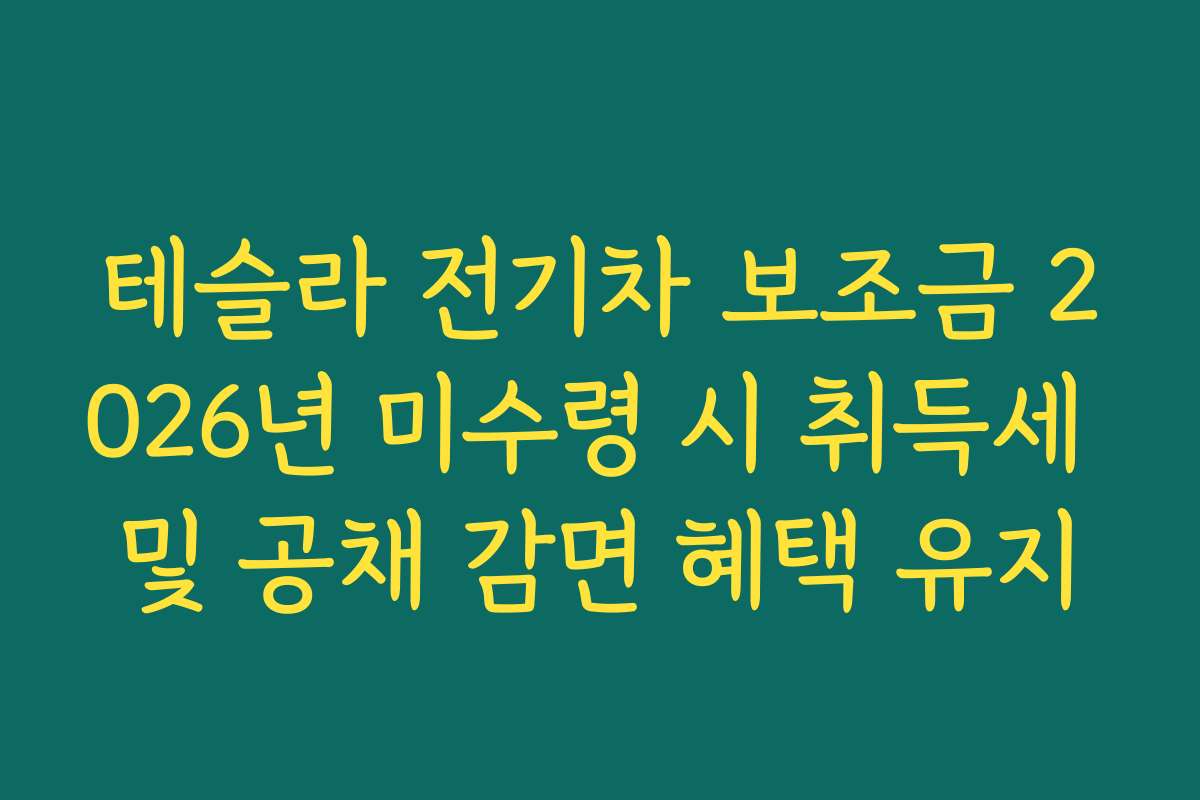 테슬라 전기차 보조금 2026년 미수령 시 취득세 및 공채 감면 혜택 유지