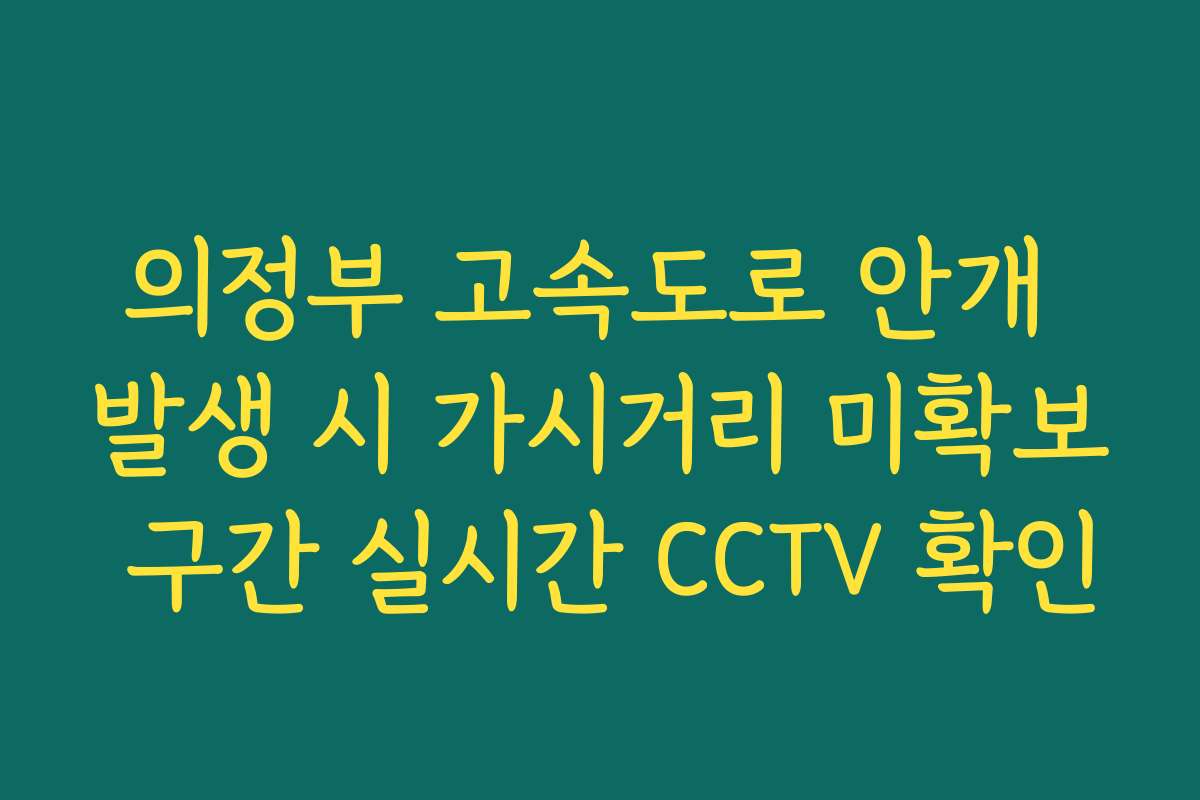 의정부 고속도로 안개 발생 시 가시거리 미확보 구간 실시간 CCTV 확인
