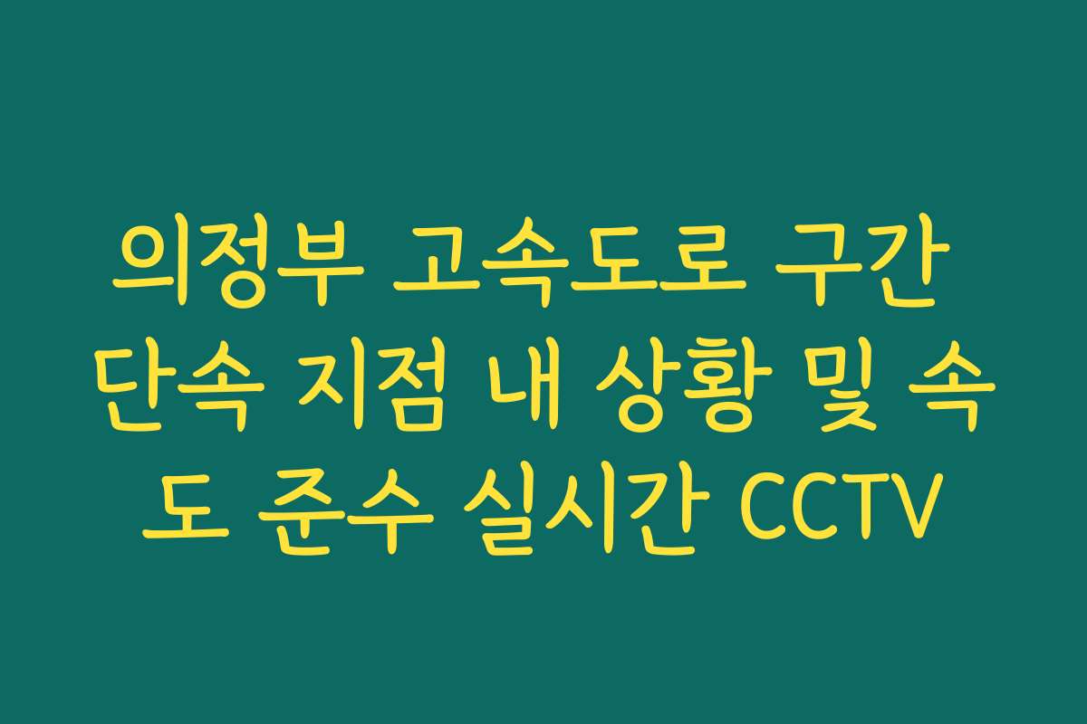 의정부 고속도로 구간 단속 지점 내 상황 및 속도 준수 실시간 CCTV