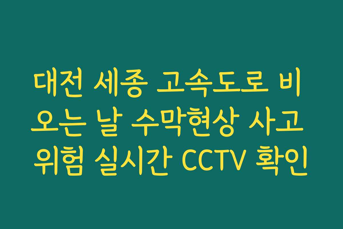 대전 세종 고속도로 비 오는 날 수막현상 사고 위험 실시간 CCTV 확인
