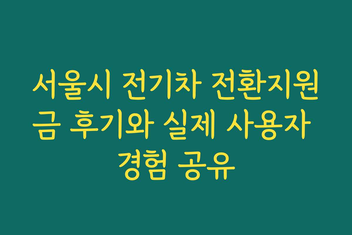 서울시 전기차 전환지원금 후기와 실제 사용자 경험 공유