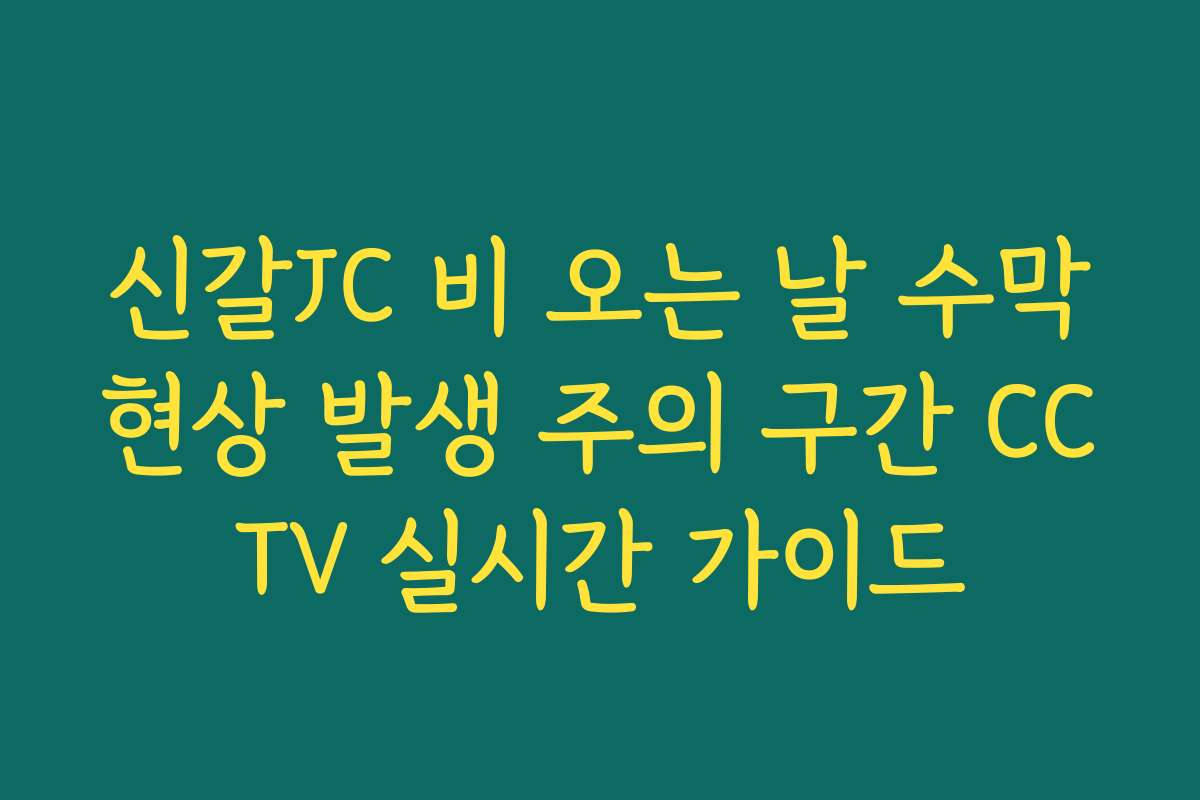 신갈JC 비 오는 날 수막현상 발생 주의 구간 CCTV 실시간 가이드