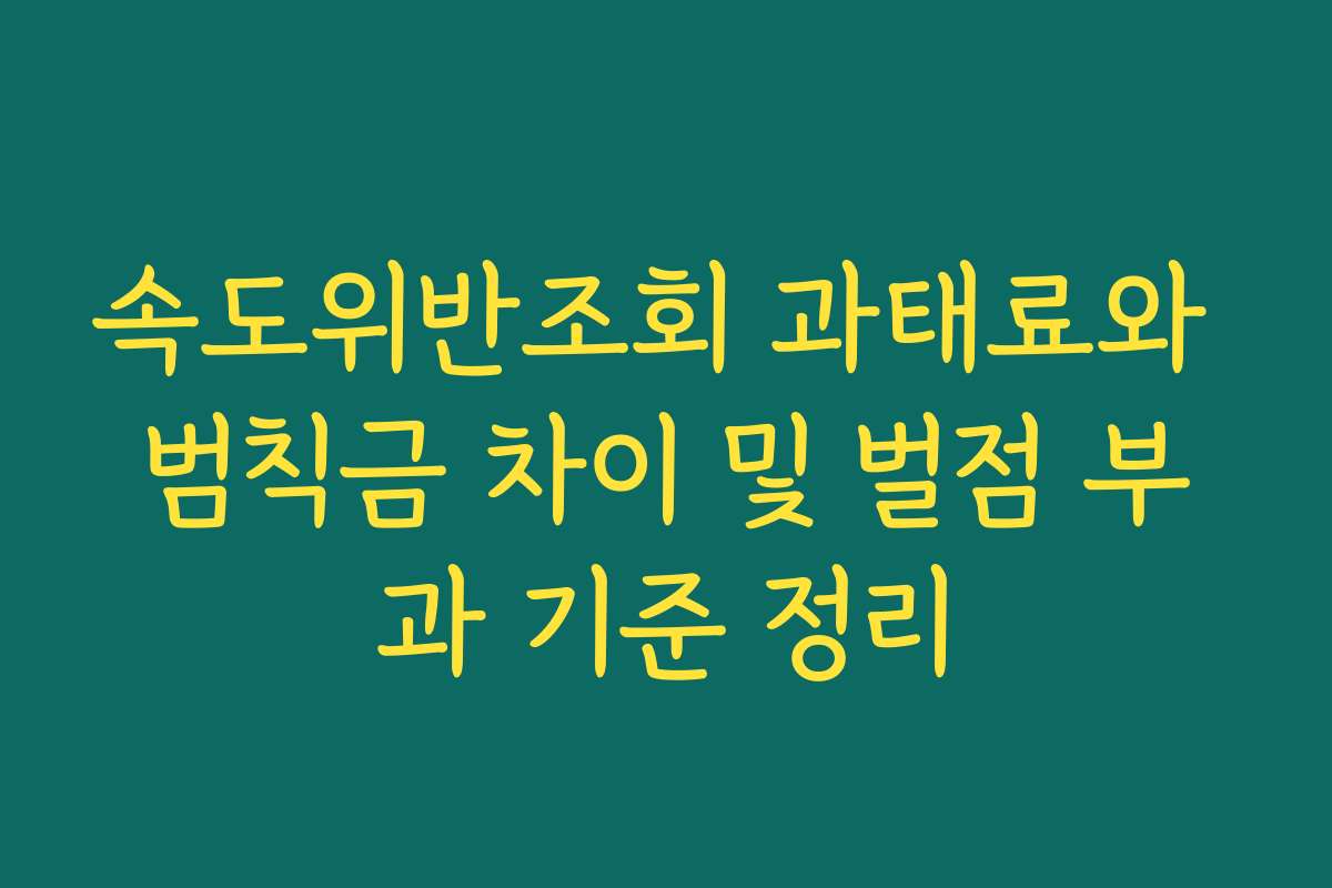 속도위반조회 과태료와 범칙금 차이 및 벌점 부과 기준 정리 속도위반조회 과태료와 범칙금 차이 및 벌점 부과 기준 정리