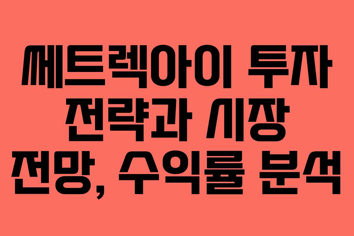쎄트렉아이 투자 전략과 시장 전망, 수익률 분석
