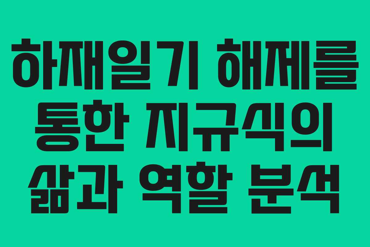 하재일기 해제를 통한 지규식의 삶과 역할 분석