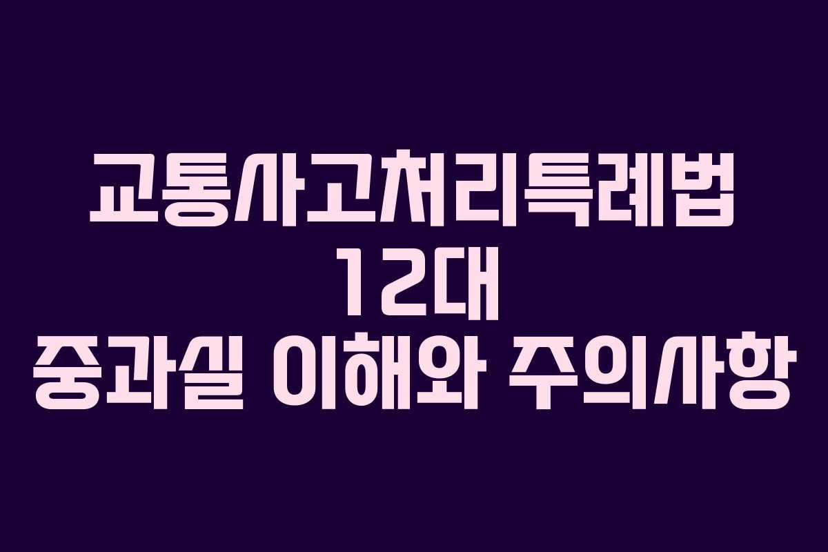 교통사고처리특례법 12대 중과실 이해와 주의사항
