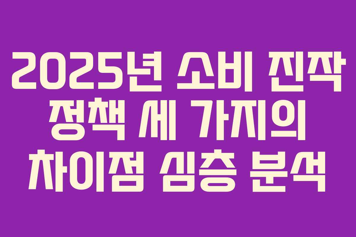 2025년 소비 진작 정책 세 가지의 차이점 심층 분석