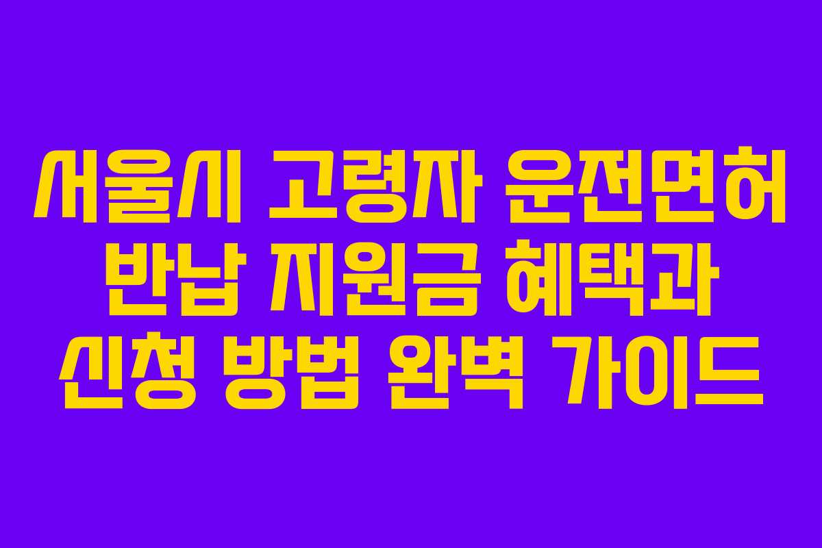 서울시 고령자 운전면허 반납 지원금 혜택과 신청 방법 완벽 가이드