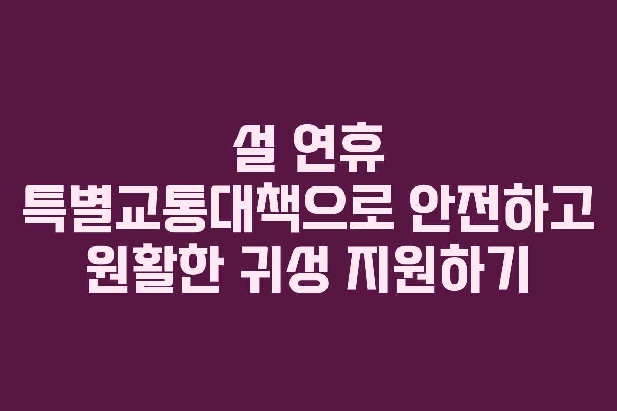 설 연휴 특별교통대책으로 안전하고 원활한 귀성 지원하기 설 연휴 특별교통대책으로 안전하고 원활한 귀성 지원하기