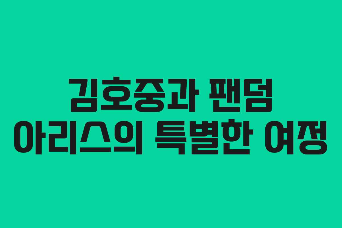 김호중과 팬덤 아리스의 특별한 여정