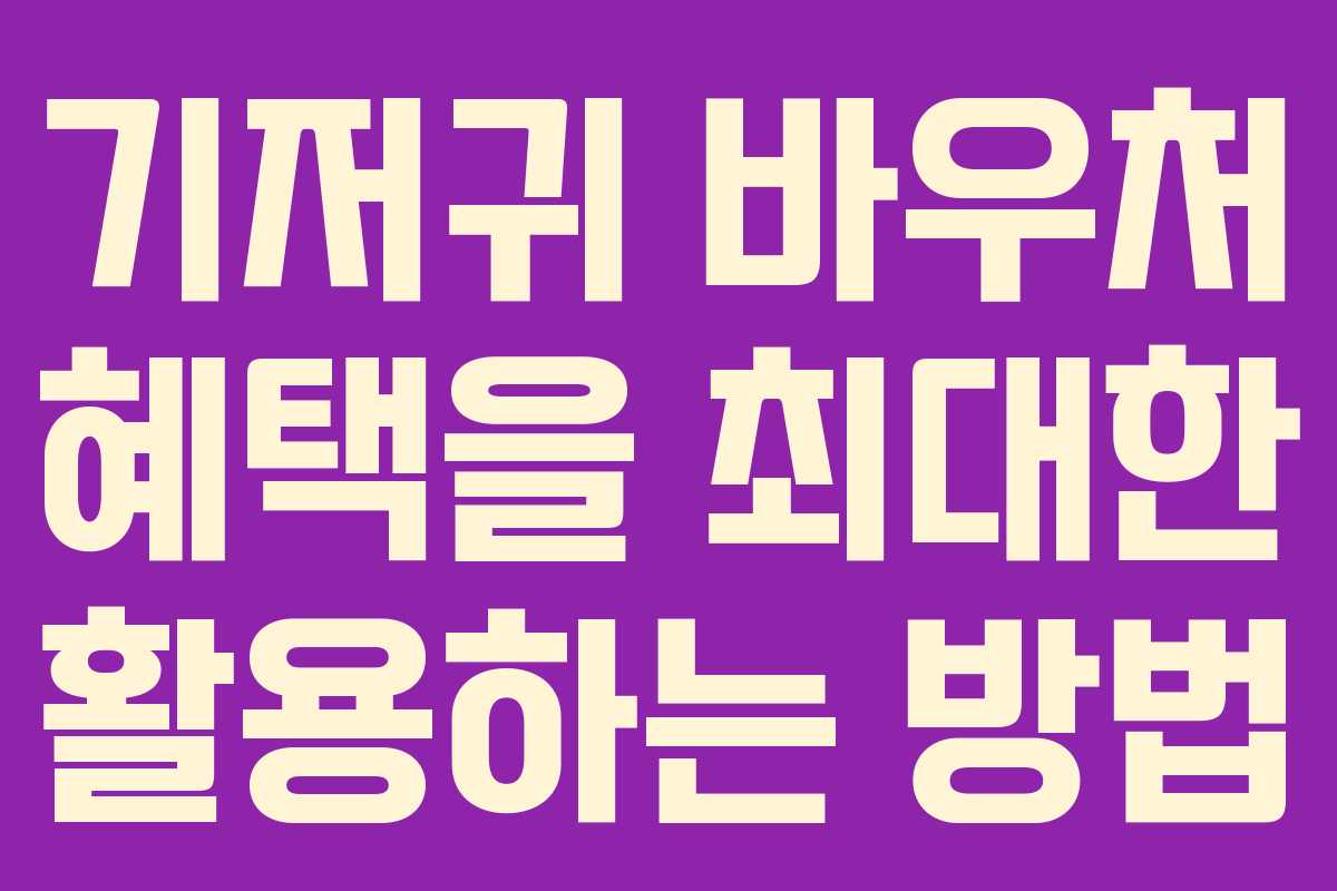 기저귀 바우처 혜택을 최대한 활용하는 방법 기저귀 바우처 혜택을 최대한 활용하는 방법
