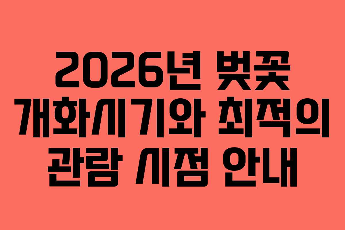 2026년 벚꽃 개화시기와 최적의 관람 시점 안내