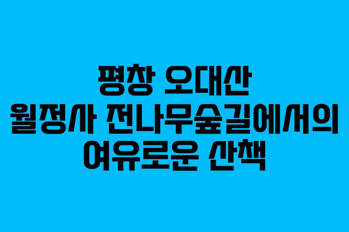 평창 오대산 월정사 전나무숲길에서의 여유로운 산책