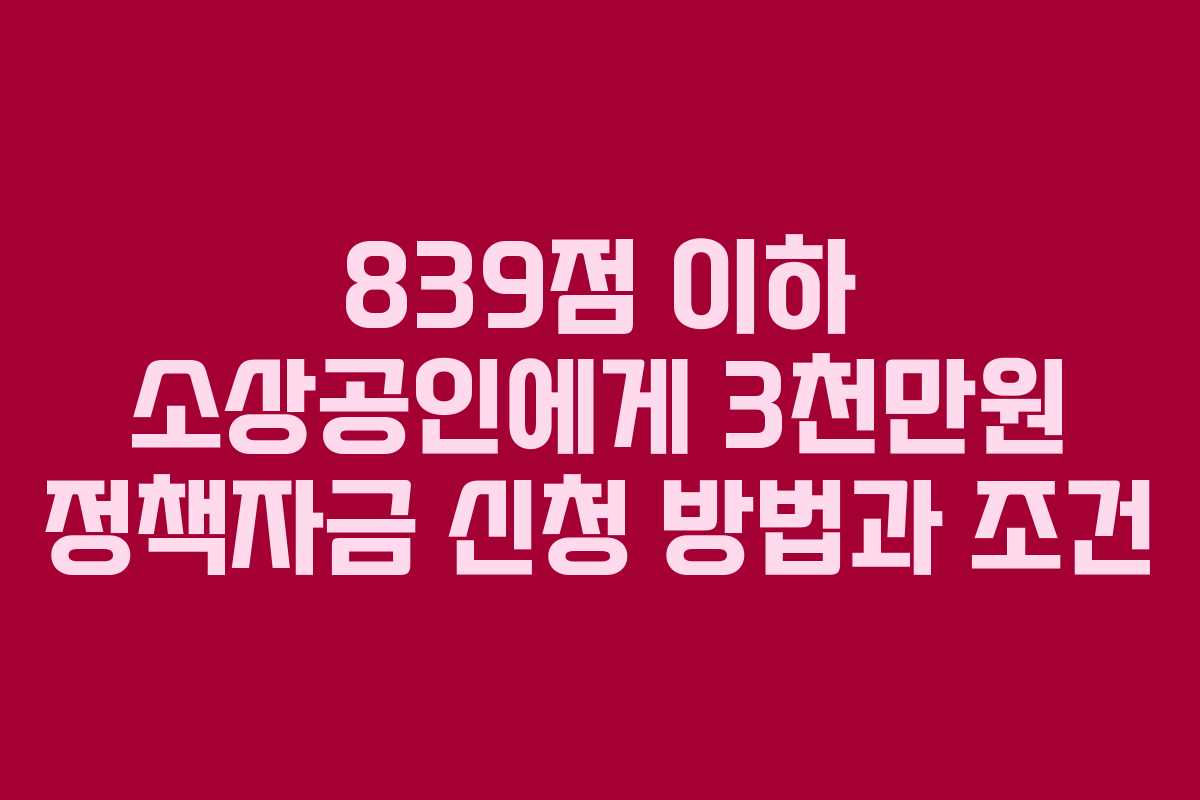 839점 이하 소상공인에게 3천만원 정책자금 신청 방법과 조건