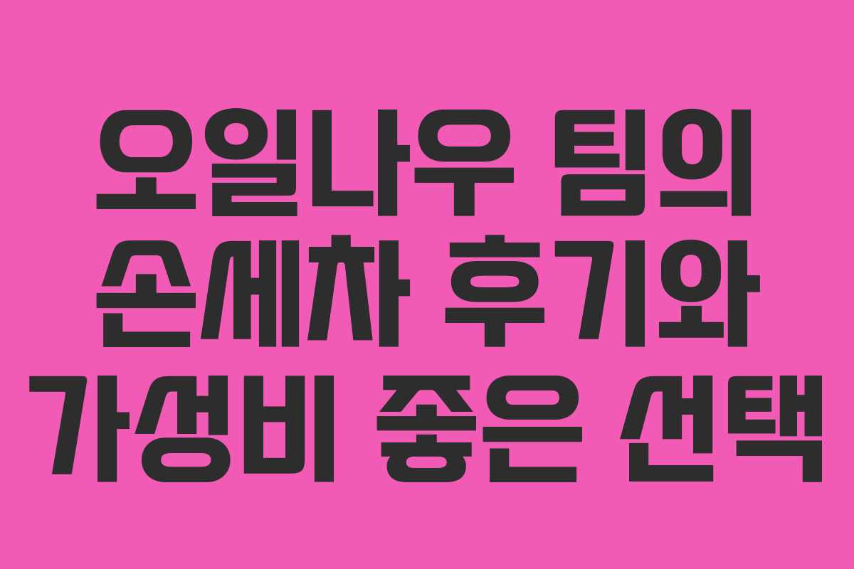 오일나우 팀의 손세차 후기와 가성비 좋은 선택