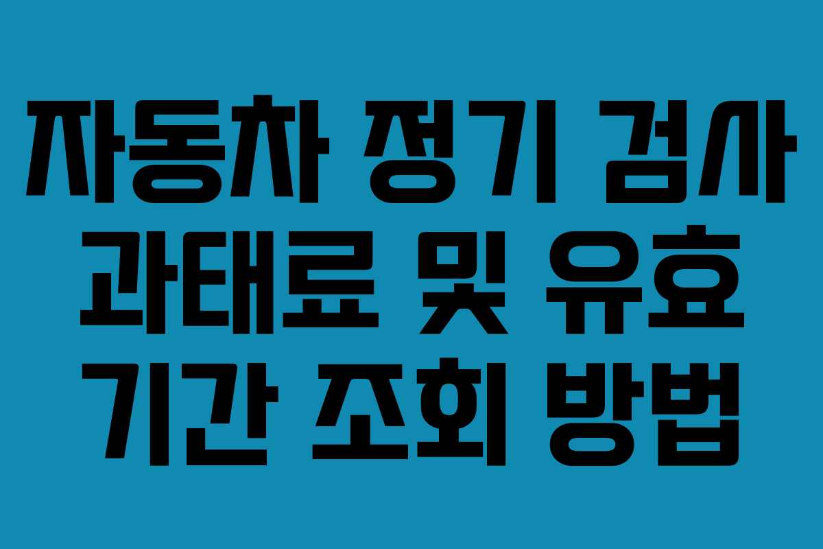 자동차 정기 검사 과태료 및 유효 기간 조회 방법