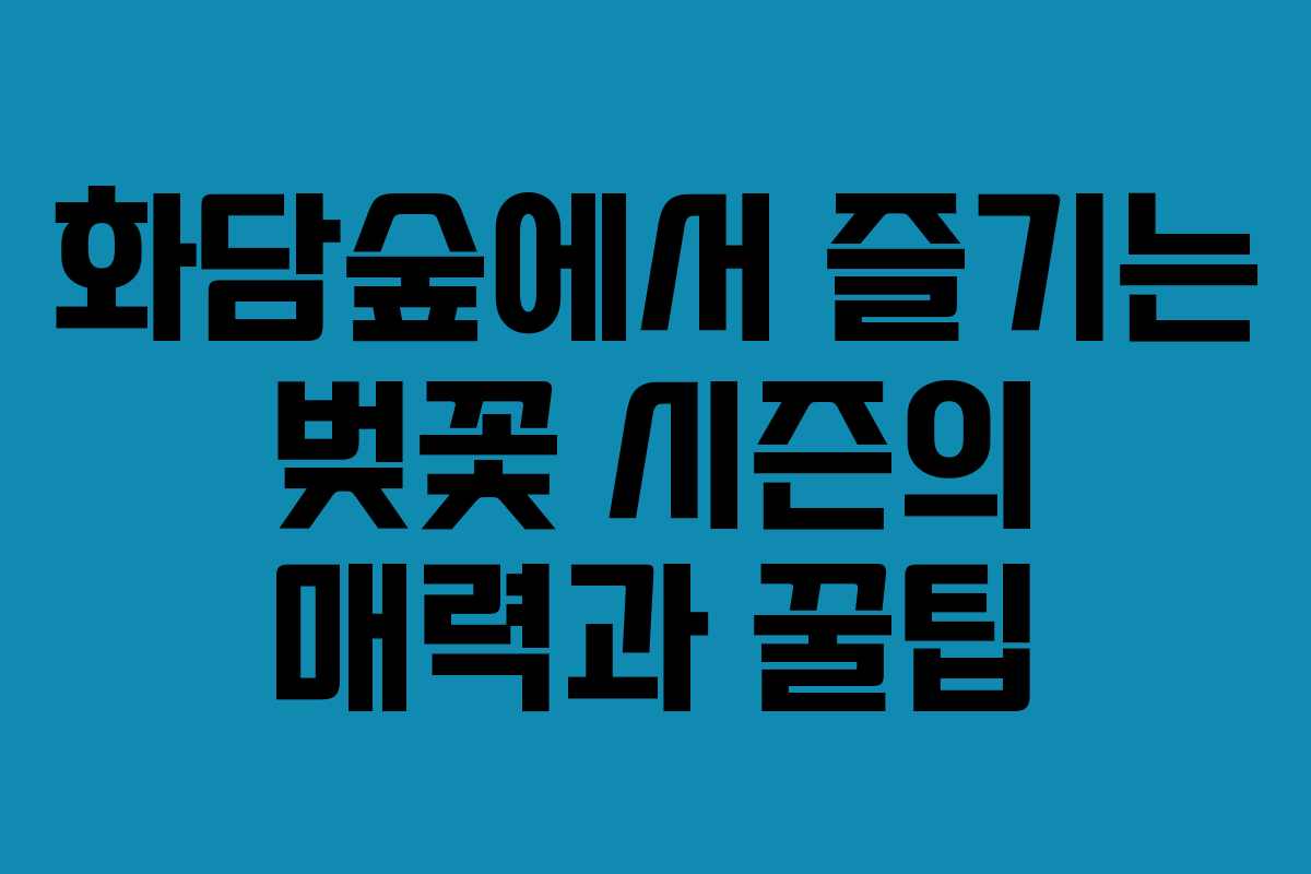 화담숲에서 즐기는 벚꽃 시즌의 매력과 꿀팁