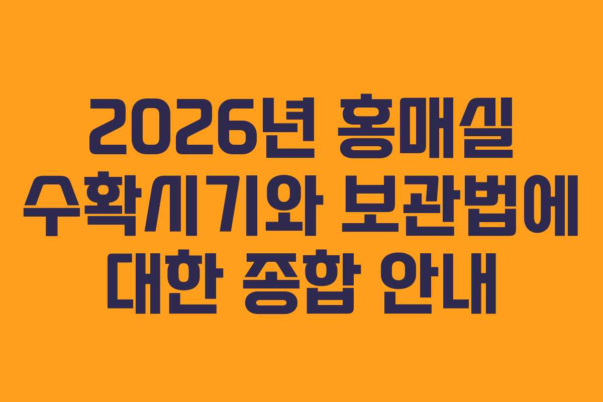 2026년 홍매실 수확시기와 보관법에 대한 종합 안내 2026년 홍매실 수확시기와 보관법에 대한 종합 안내