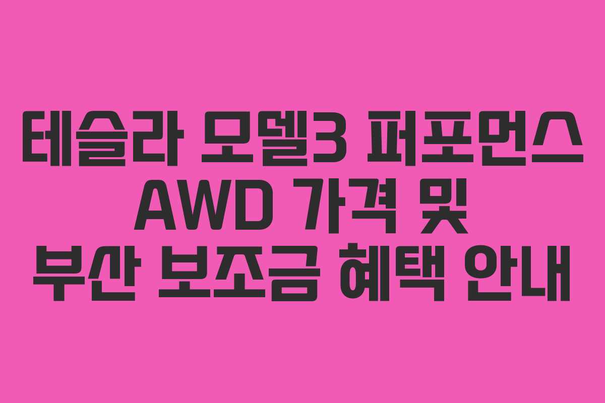 테슬라 모델3 퍼포먼스 AWD 가격 및 부산 보조금 혜택 안내