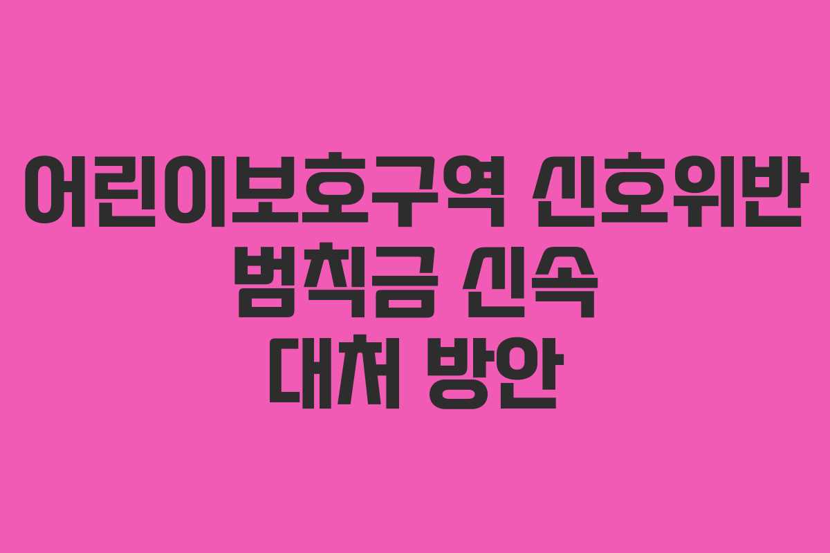 어린이보호구역 신호위반 범칙금 신속 대처 방안 어린이보호구역 신호위반 범칙금 신속 대처 방안