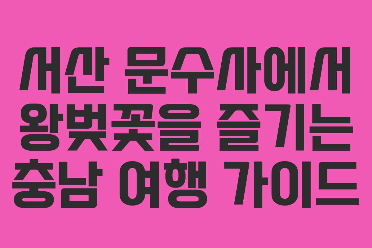서산 문수사에서 왕벚꽃을 즐기는 충남 여행 가이드