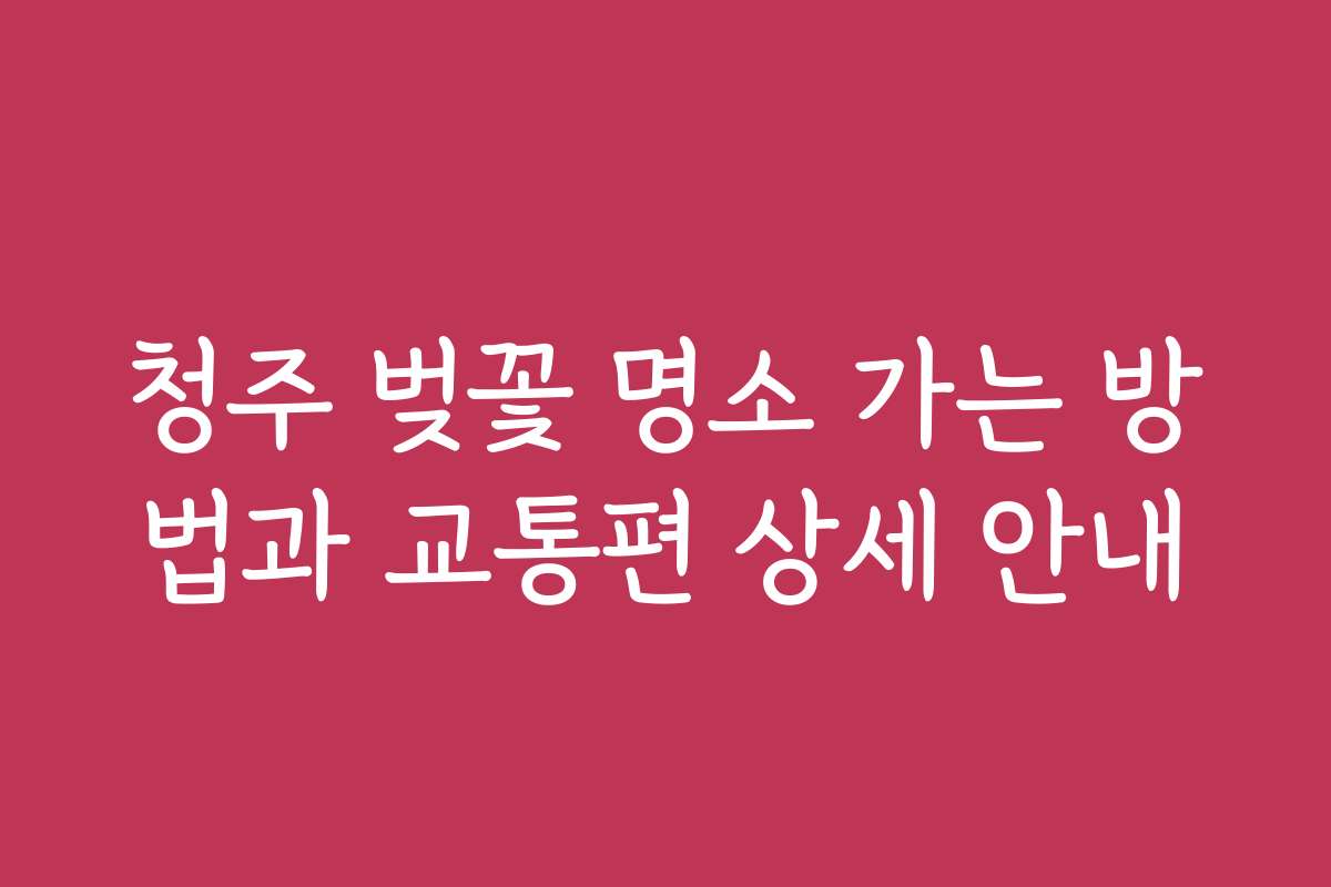 청주 벚꽃 명소 가는 방법과 교통편 상세 안내