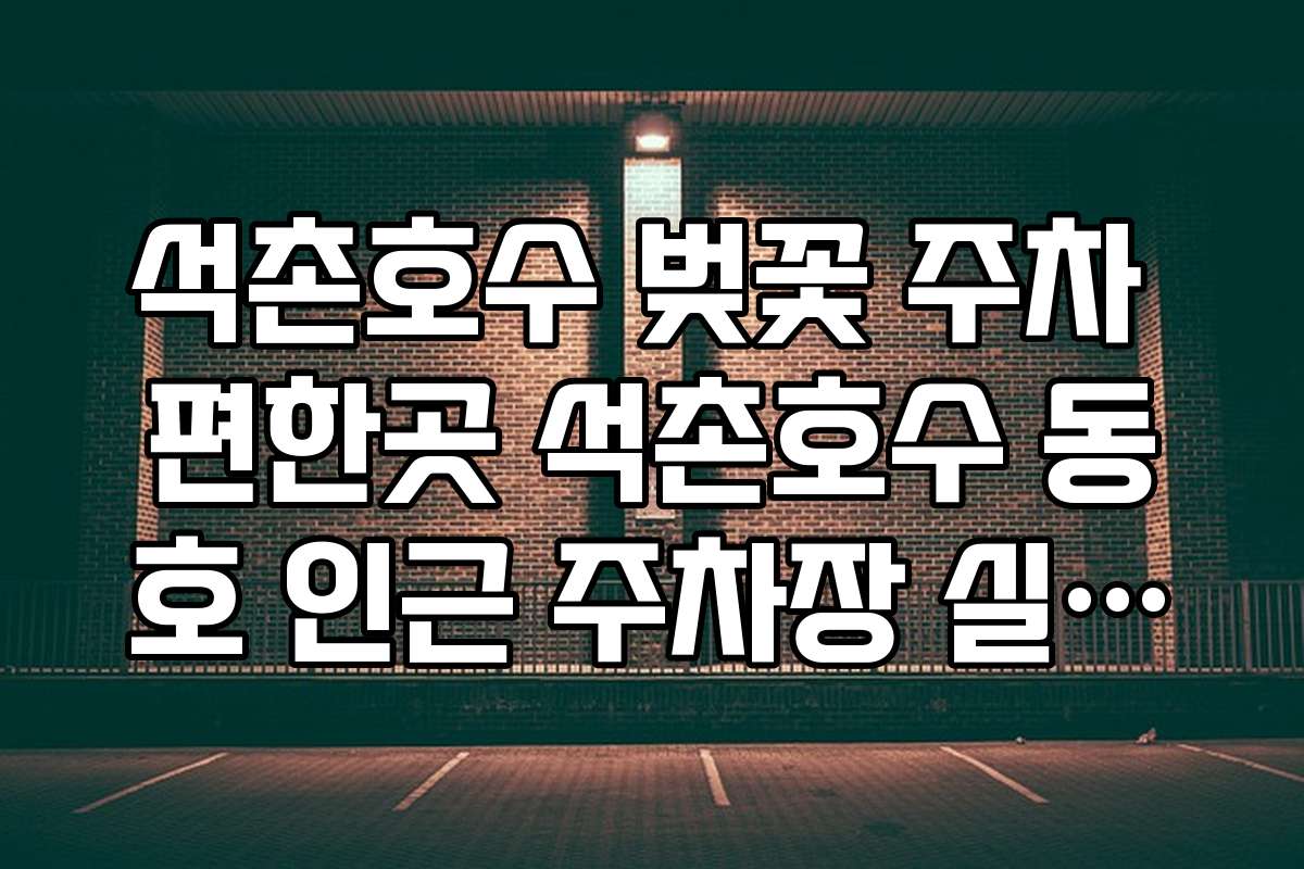 석촌호수 벚꽃 주차 편한곳 석촌호수 동호 인근 주차장 실시간 현황