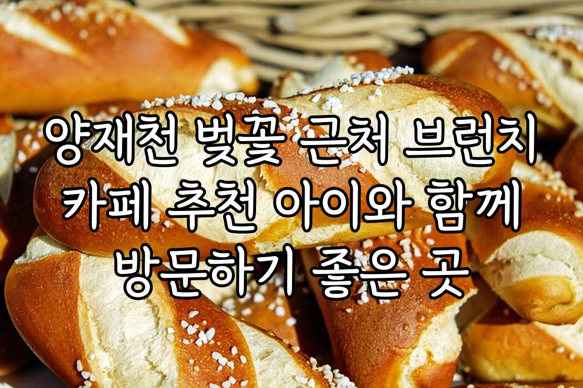 양재천 벚꽃 근처 브런치 카페 추천 아이와 함께 방문하기 좋은 곳