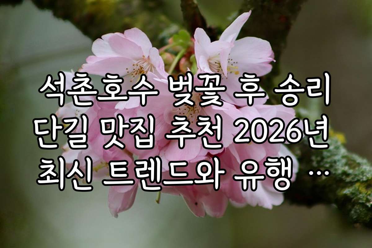 석촌호수 벚꽃 후 송리단길 맛집 추천 2026년 최신 트렌드와 유행 예상