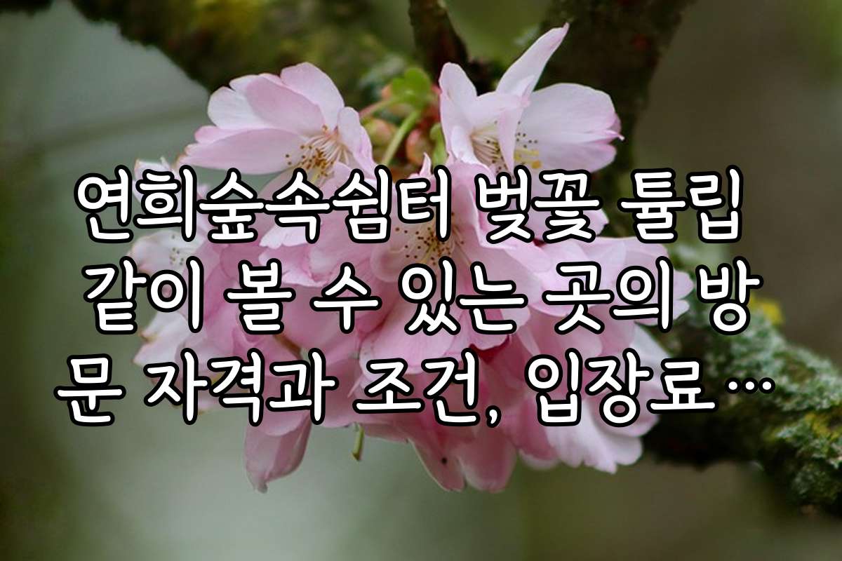 연희숲속쉼터 벚꽃 튤립 같이 볼 수 있는 곳의 방문 자격과 조건, 입장료 정보
