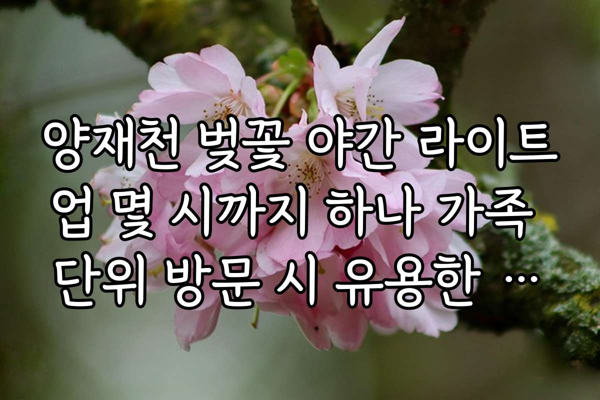 양재천 벚꽃 야간 라이트업 몇 시까지 하나 가족 단위 방문 시 유용한 정보