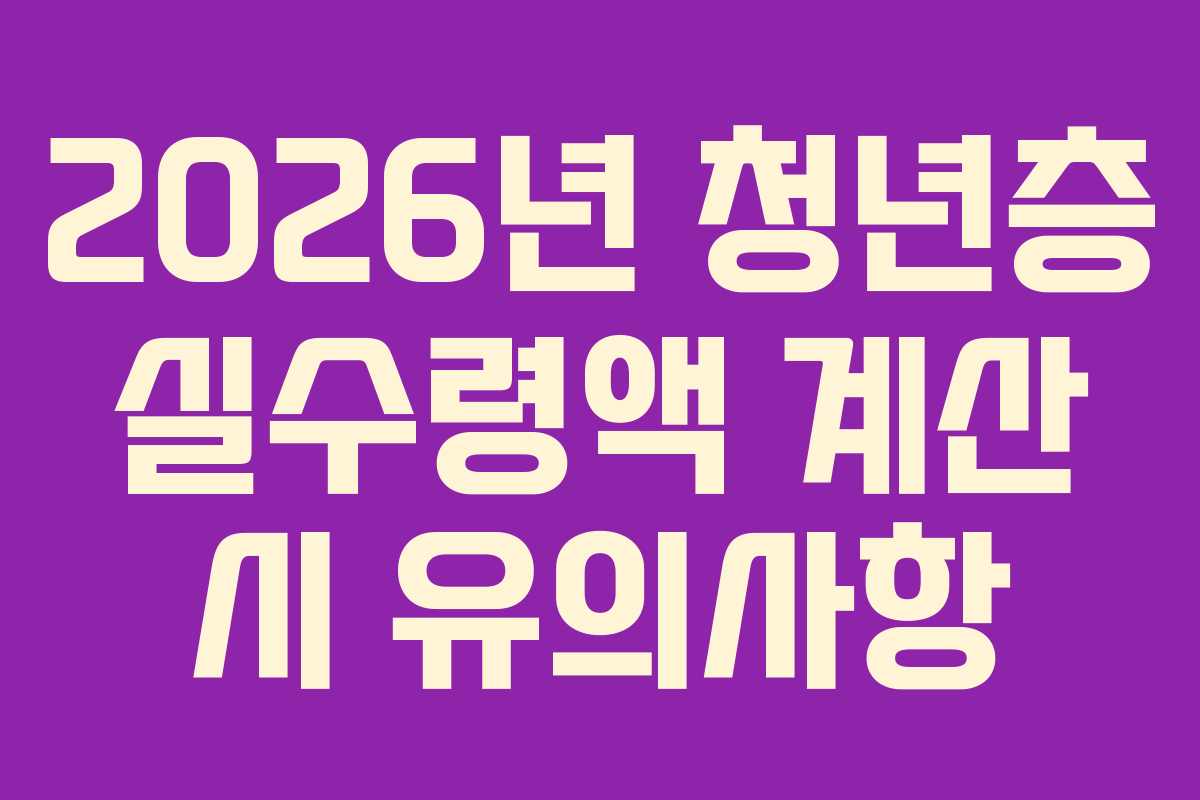 2026년 청년층 실수령액 계산 시 유의사항