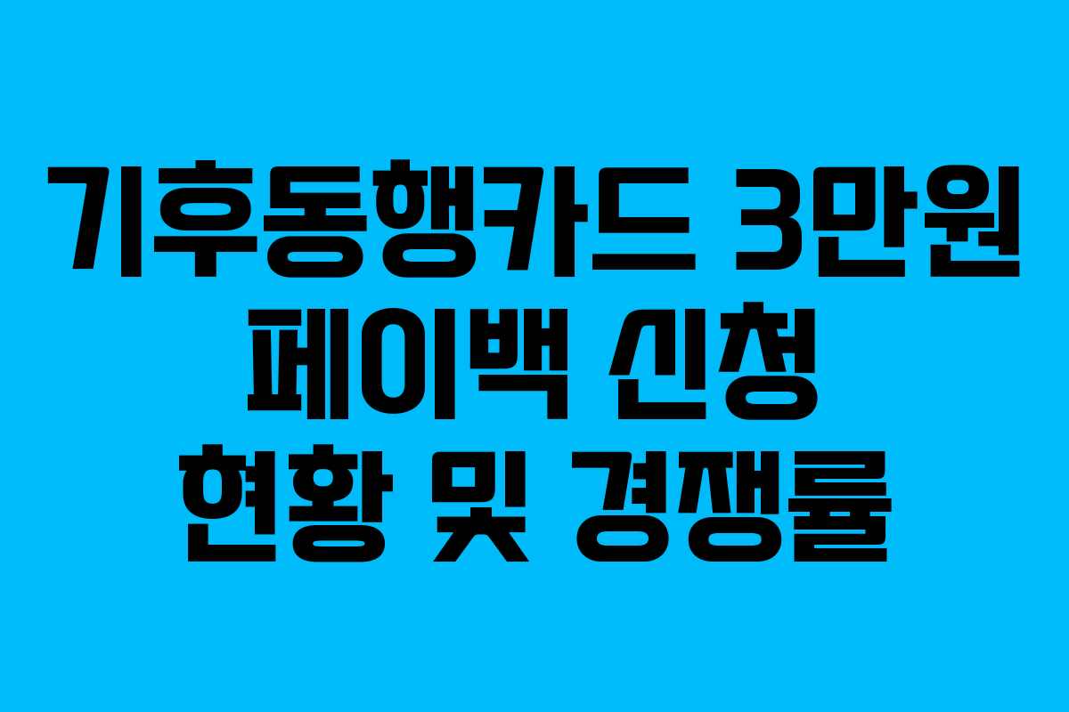 기후동행카드 3만원 페이백 신청 현황 및 경쟁률
